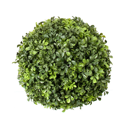 Creative Displays, Inc. 14'' Artificial Boxwood Topiary & Reviews